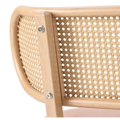 Chaise Double Avec Pieds En Métal - Dossier En Rotin - Coussin En Cuir - Marron -Sominova Soldes Boutique chaise 21218749