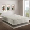Matelas Simmons First FR.1 - 600 Ressorts Ensachés SenSoft Evolution 160x200 2 Matelas Simmons First FR.1 - 600 Ressorts Ensachés SenSoft Evolution 160x200 -Sominova Soldes Boutique matelas 21140947