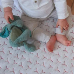 Matelas Bébé Déhoussable EVOLUTIF 60x120 Cm -Sominova Soldes Boutique matelas 21237537