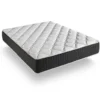 Matelas 140x190 Mousse Bio Green | Mousse á Memoire De Forme Bio Pur® | épaisseur 30 Cm | Hypoallergénique | Anatomique | Certifié Oeko-tex® -Sominova Soldes Boutique matelas 21963801